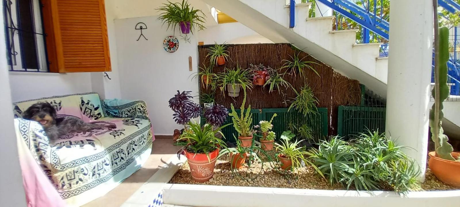 Ferienwohnung Casa Chiki Vera Exterior foto